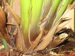 327131106_ef448bc887_m.jpg