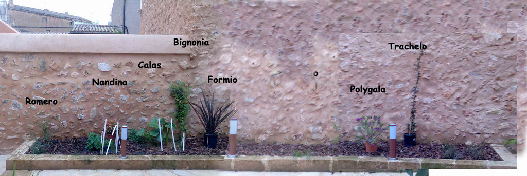 3272691380_2bfdd380c1_b.jpg