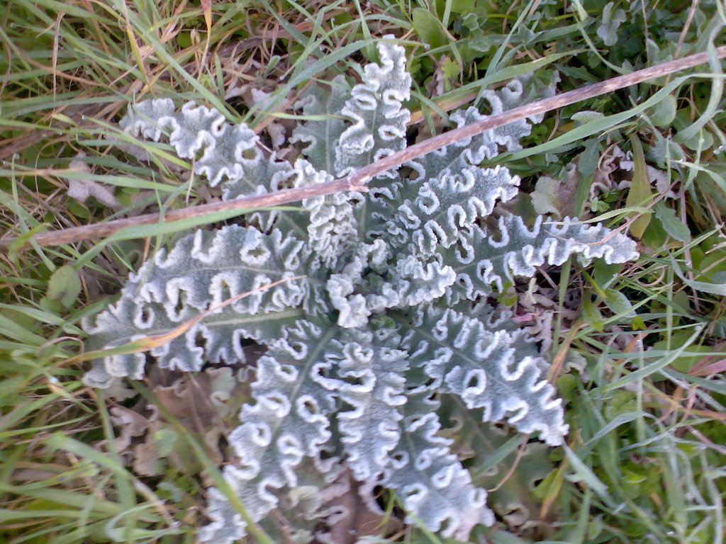 3284953287_7e53da7395_b.jpg