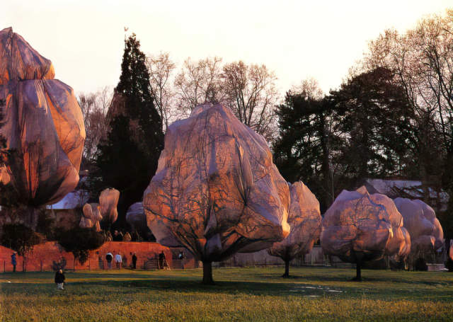 32_13374~christo-und-jeanne-claude_wrapped-trees-35.jpg