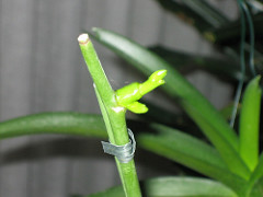 330284467_dd7016f34e_m.jpg