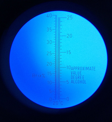 33053626762_f262f9fff3.jpg