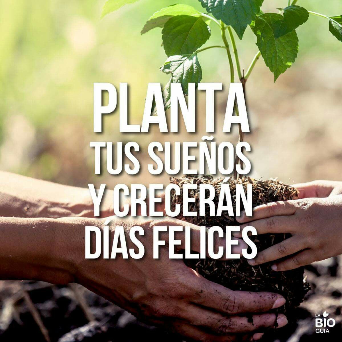 330ec82ee7ba1f4956dc99324d13b9b2.jpg