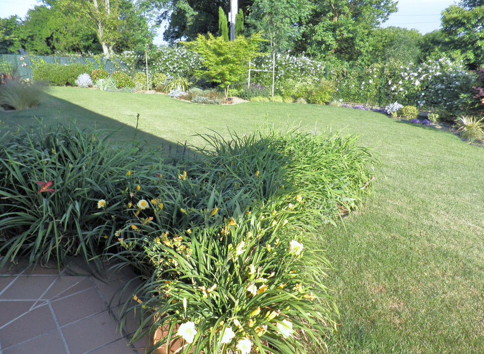 33109d1339542868-con-temor-sin-experiencia-pero-con-gran-fe-en-vosotros-bajares-hemerocallis.jpg
