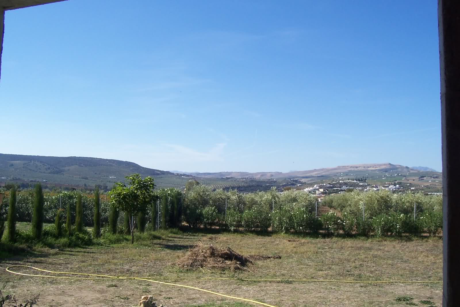 3322e50.jpg