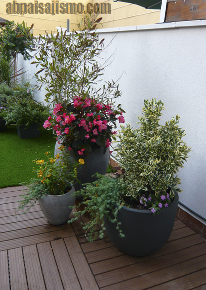 33251d1340025172-terraza-ajardinada-en-barcelona-p1090041.jpg