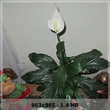 332e90ec94316d168c2b9b13dfb73ca8o.jpg