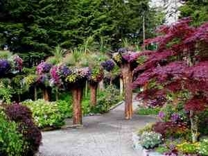 333177_Glacier%20Gardens%20Rainforest%20Adventure.jpg