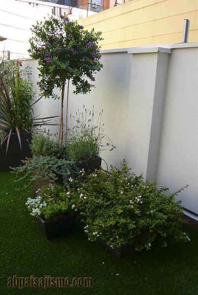 33399d1341257359t-terraza-ajardinada-en-barcelona-p1090345.jpg
