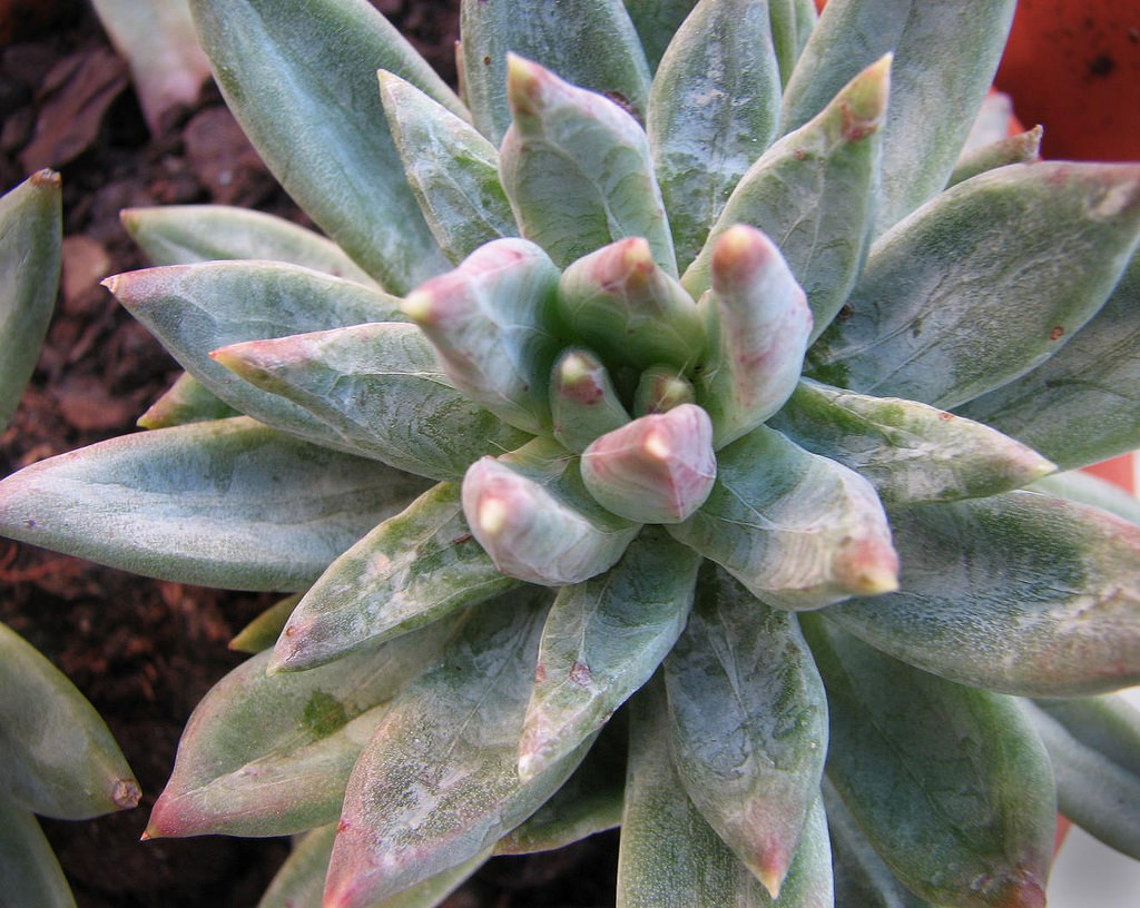 3354047871_af3cf445d6_b.jpg