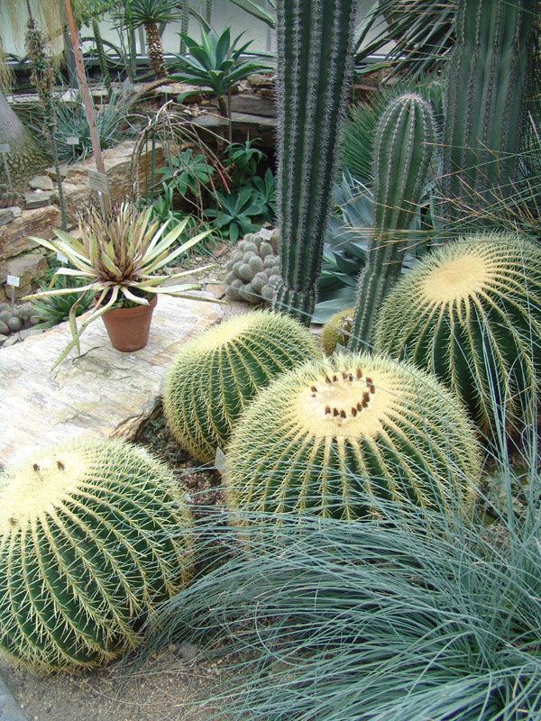 3384624645_c563779ab2_o.jpg