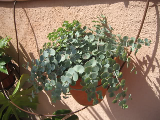 339q07t.jpg