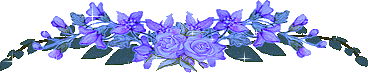 33fcg1t.jpg