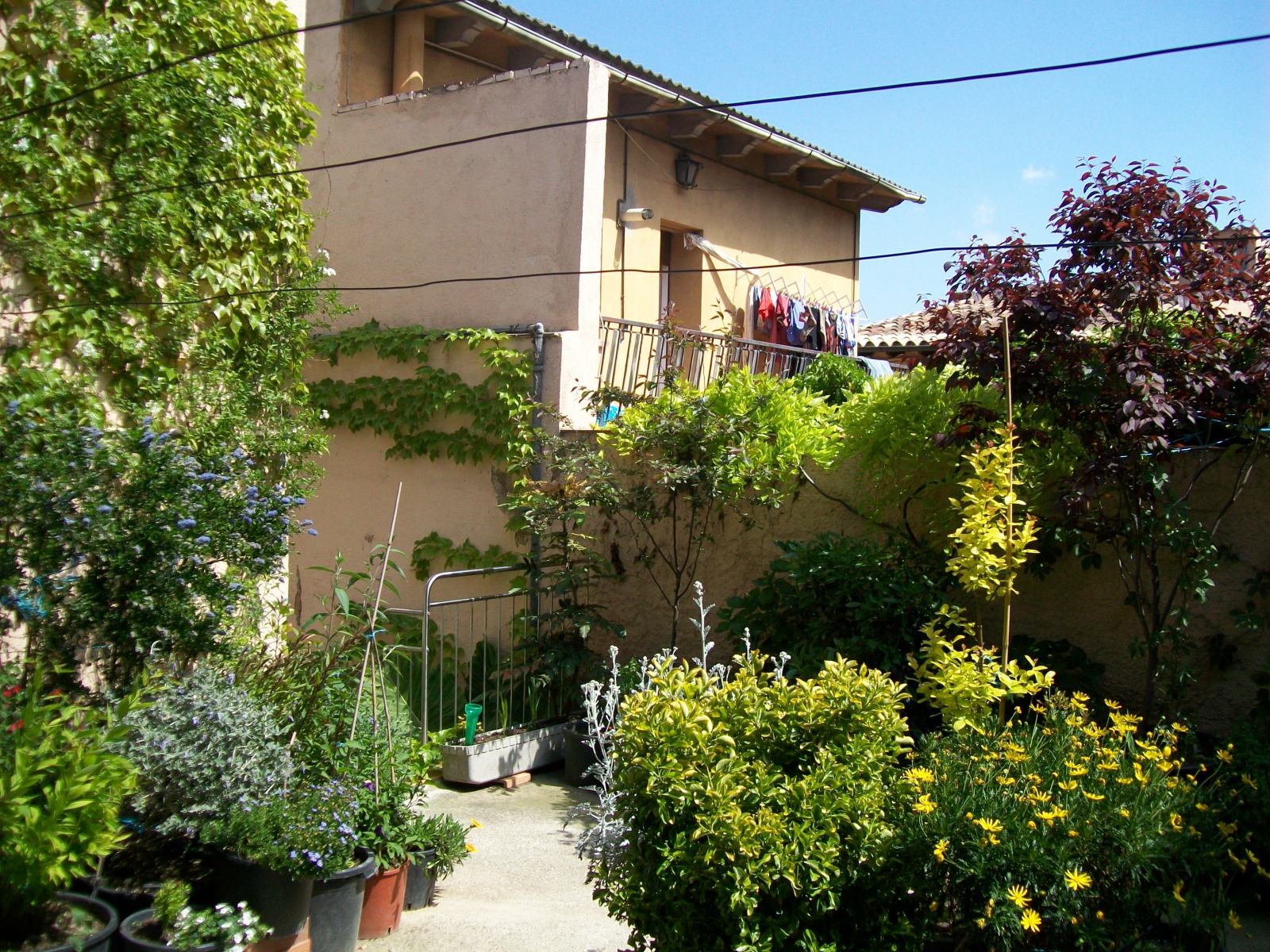 33n8078.jpg