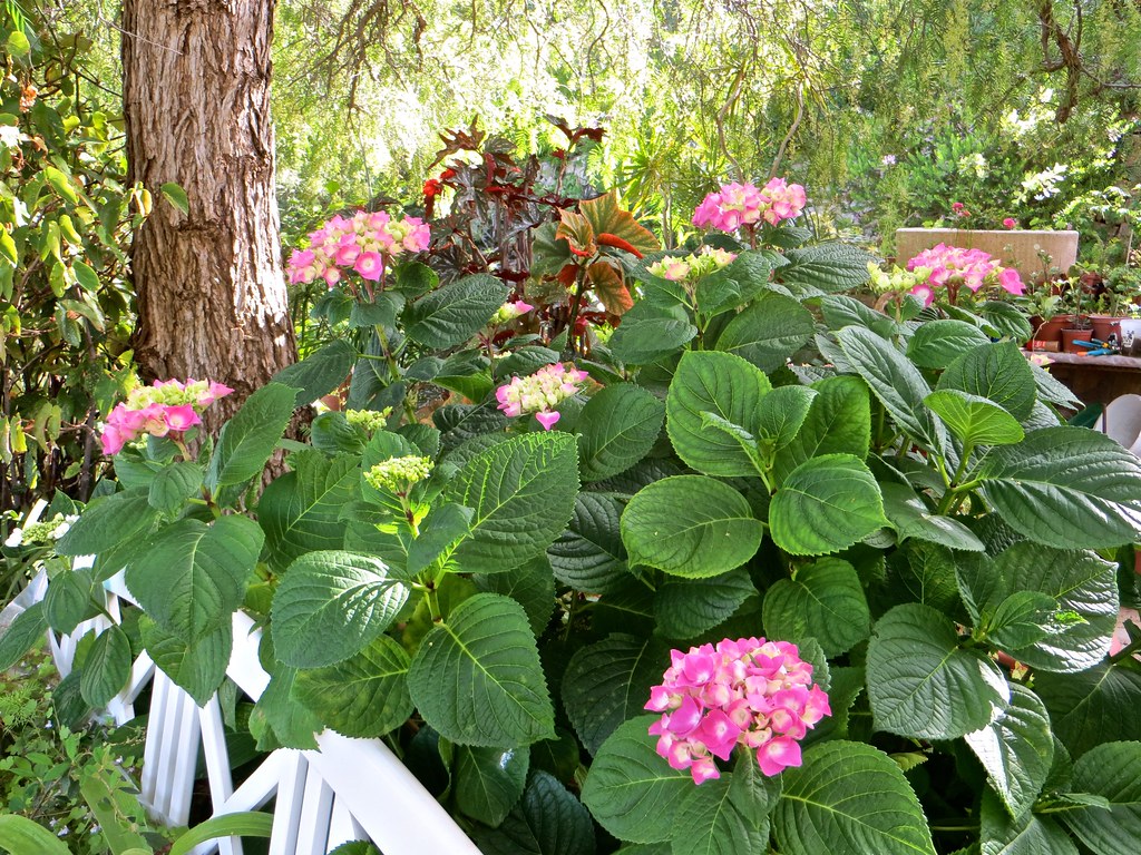 34088799234_52a2fb67f9_b.jpg