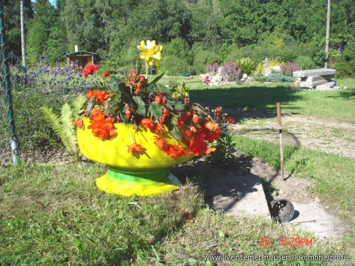 342699_21.08.2008_001.jpg