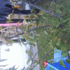 34273d71998668.gif