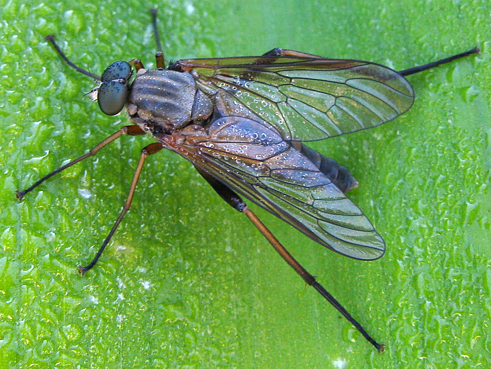 3438192423_eea0d632ec_o.jpg