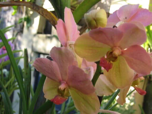 344s7b6.jpg