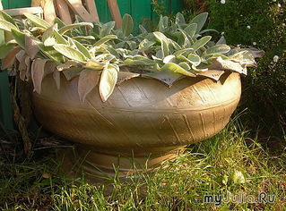 346798_6145nothumb500.jpg