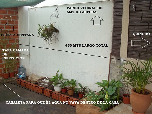 34684d1361903277-ayudaaa-con-mi-pequeno-jardincito-pasillo-medio-2.jpg