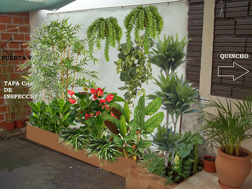 34702d1362169350-ayudaaa-con-mi-pequeno-jardincito-tropical.jpg
