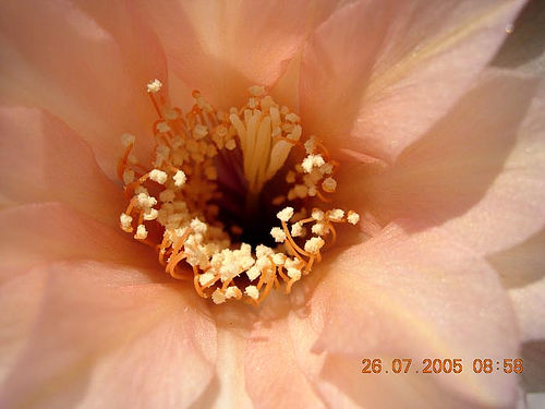 34863726_5370c6442d.jpg