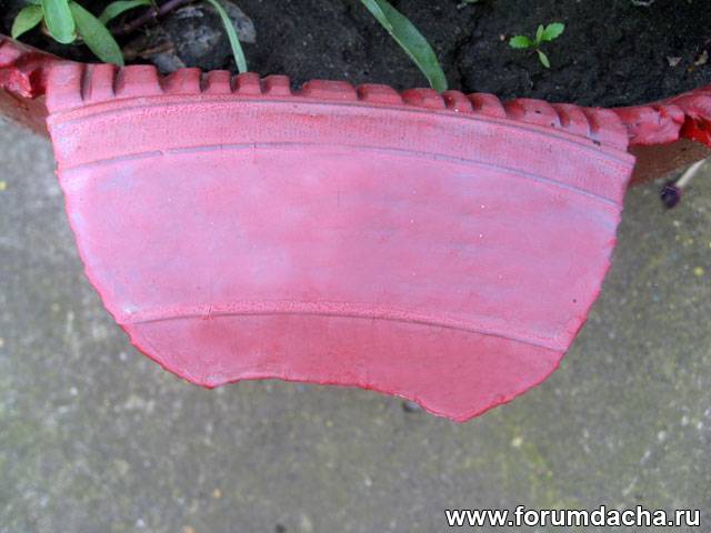 349_img_1742_1.jpg