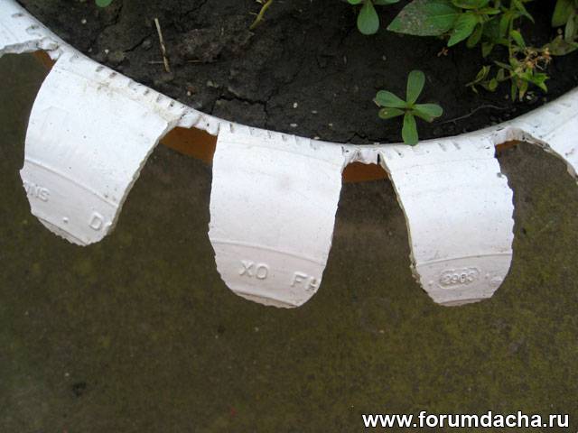349_img_1744_1.jpg