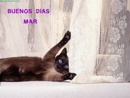 34h9vlh.gif