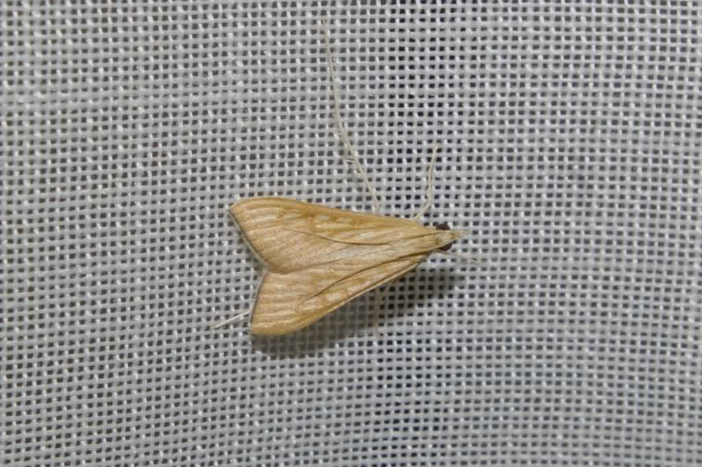 34xgf83.jpg