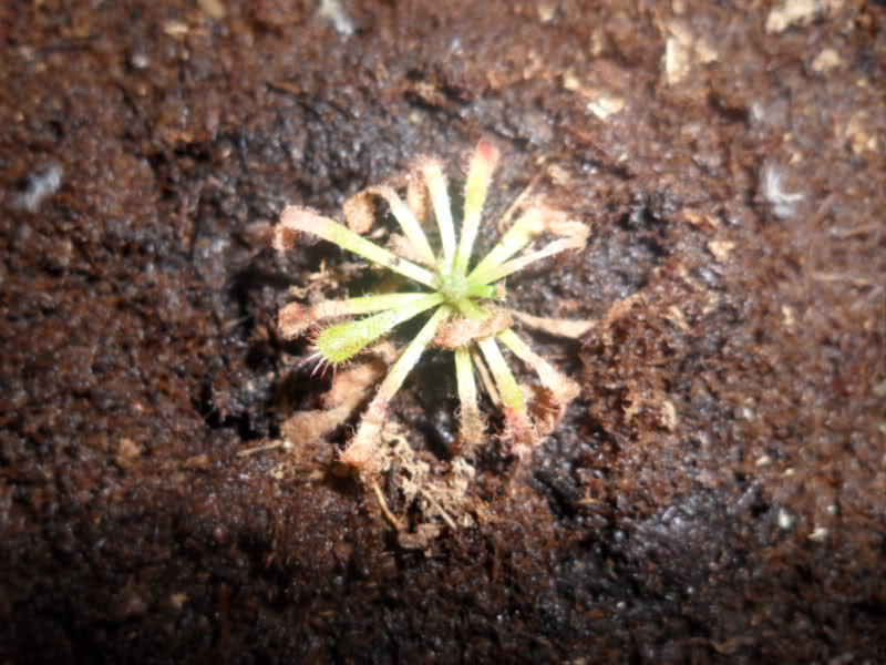 34zah4i.jpg