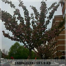 3521efe9f5c9918d0ecac74aab0bf14eo.jpg