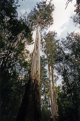 352627394_909ff92197.jpg