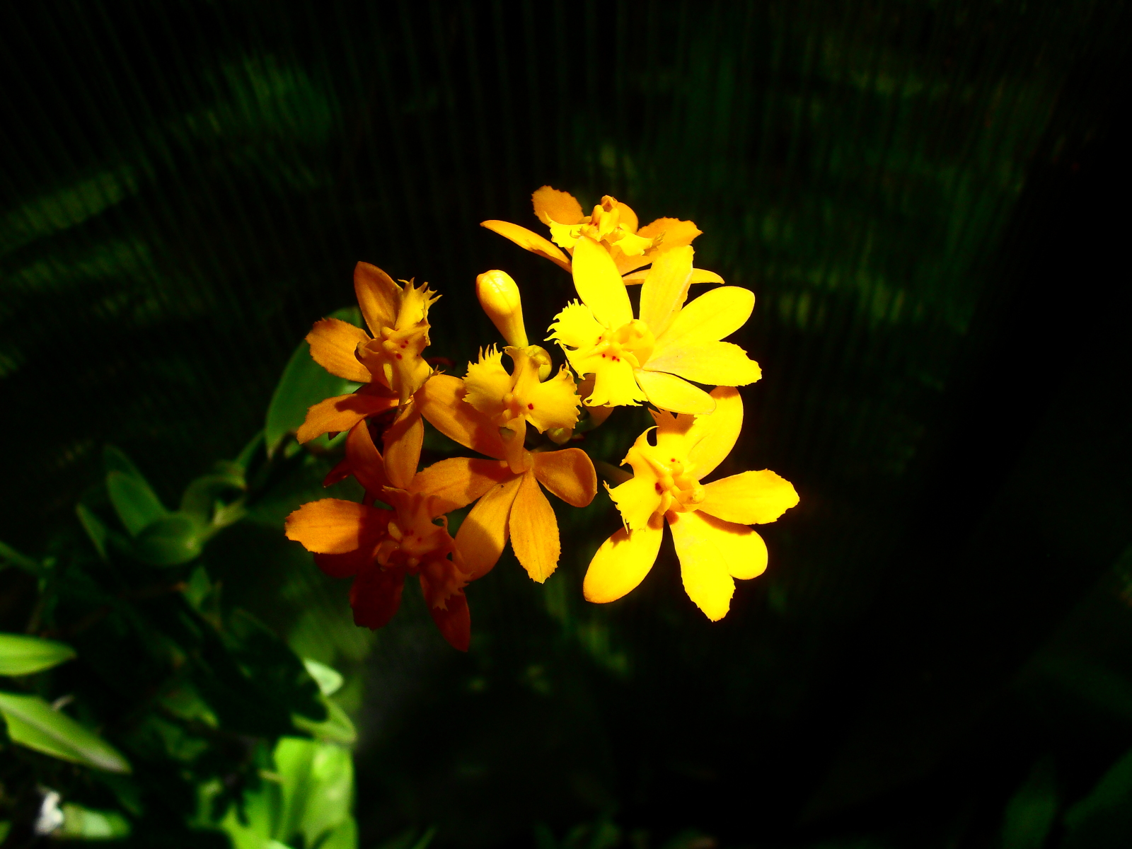 352n8sl.jpg