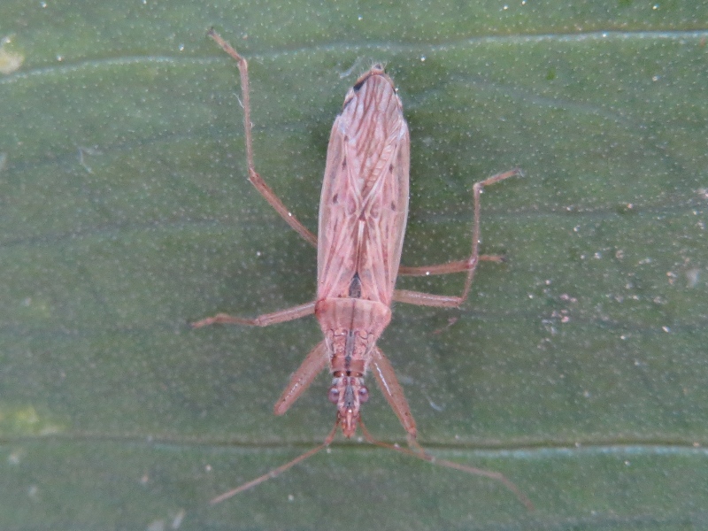 3535f6d.jpg