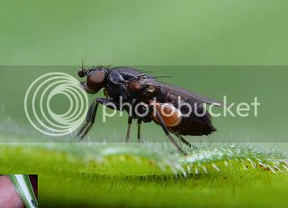 3579051934_978525a0f7_n_zpsovez7ryx.jpg