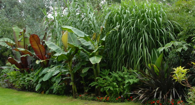 35820-jardin-de-sombra-de-sol-rusti_zps4b4f011a.jpg