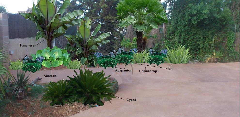 35839d1372292943-jardin-de-sombra-d_zps58b564ec.jpg