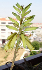 3584941845_caca8fcaa8_m.jpg
