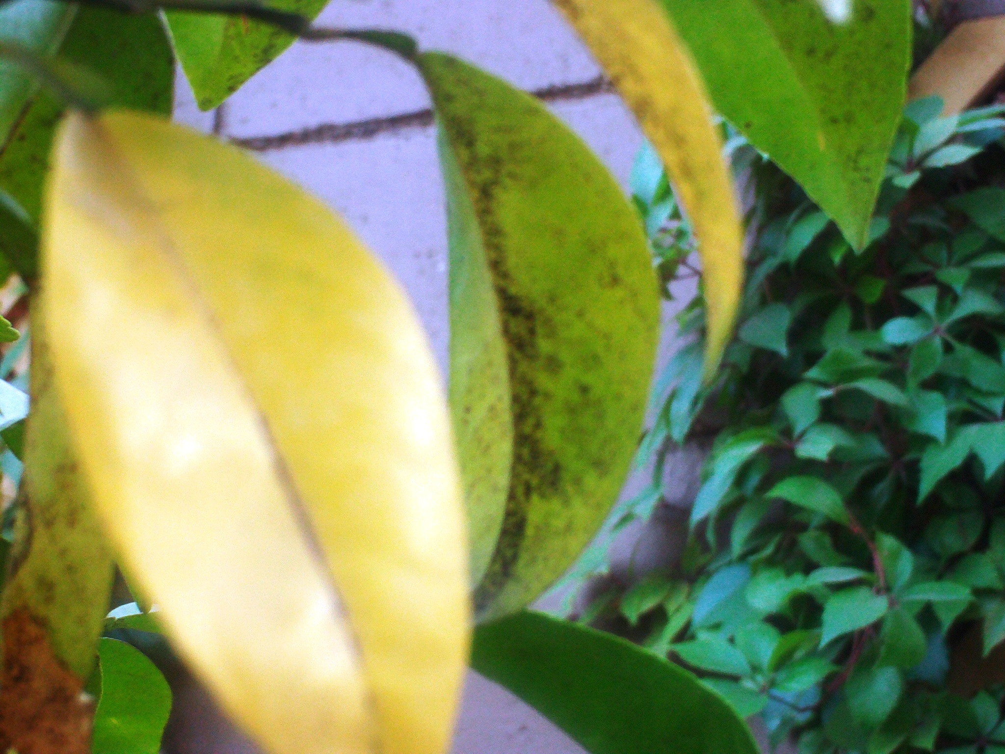 3603575file0012.jpg