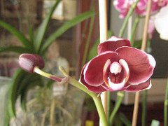 360844999_d39cc2c008_m.jpg