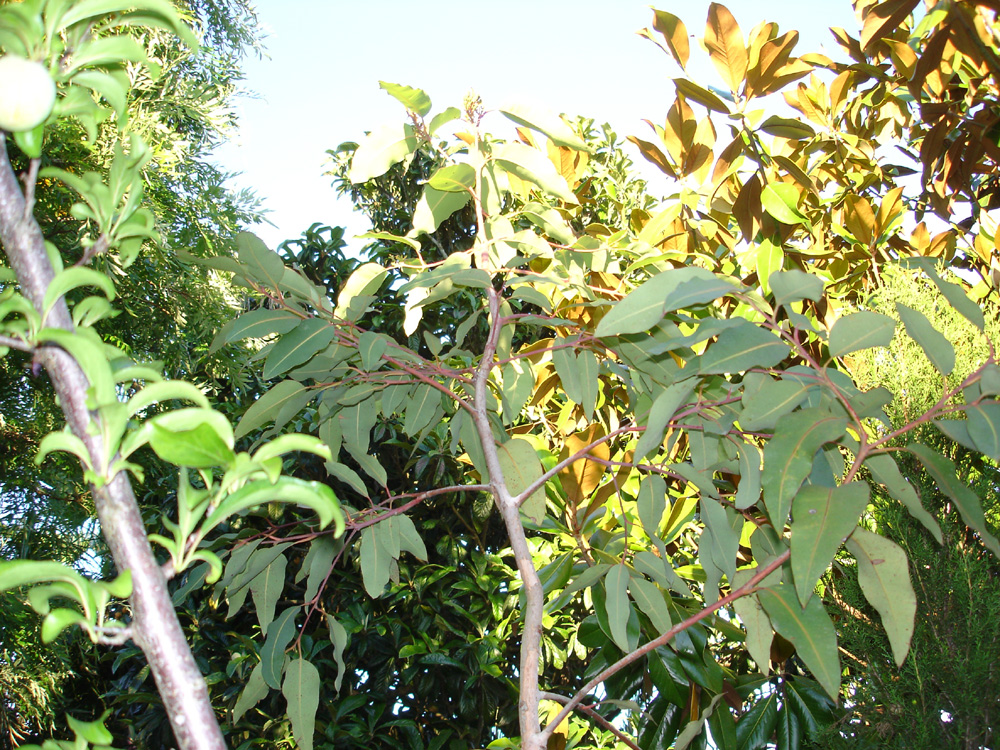 3619926523_af9d0fdec3_o.jpg