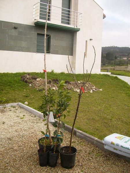 3634d1269292542t-el-jardin-de-manolete-p3180114b.jpg