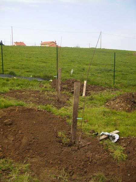 3636d1269292542t-el-jardin-de-manolete-p3180122b.jpg
