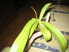 368416358_0560a05e50_m.jpg