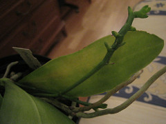 368416372_2fe0907c3c_m.jpg