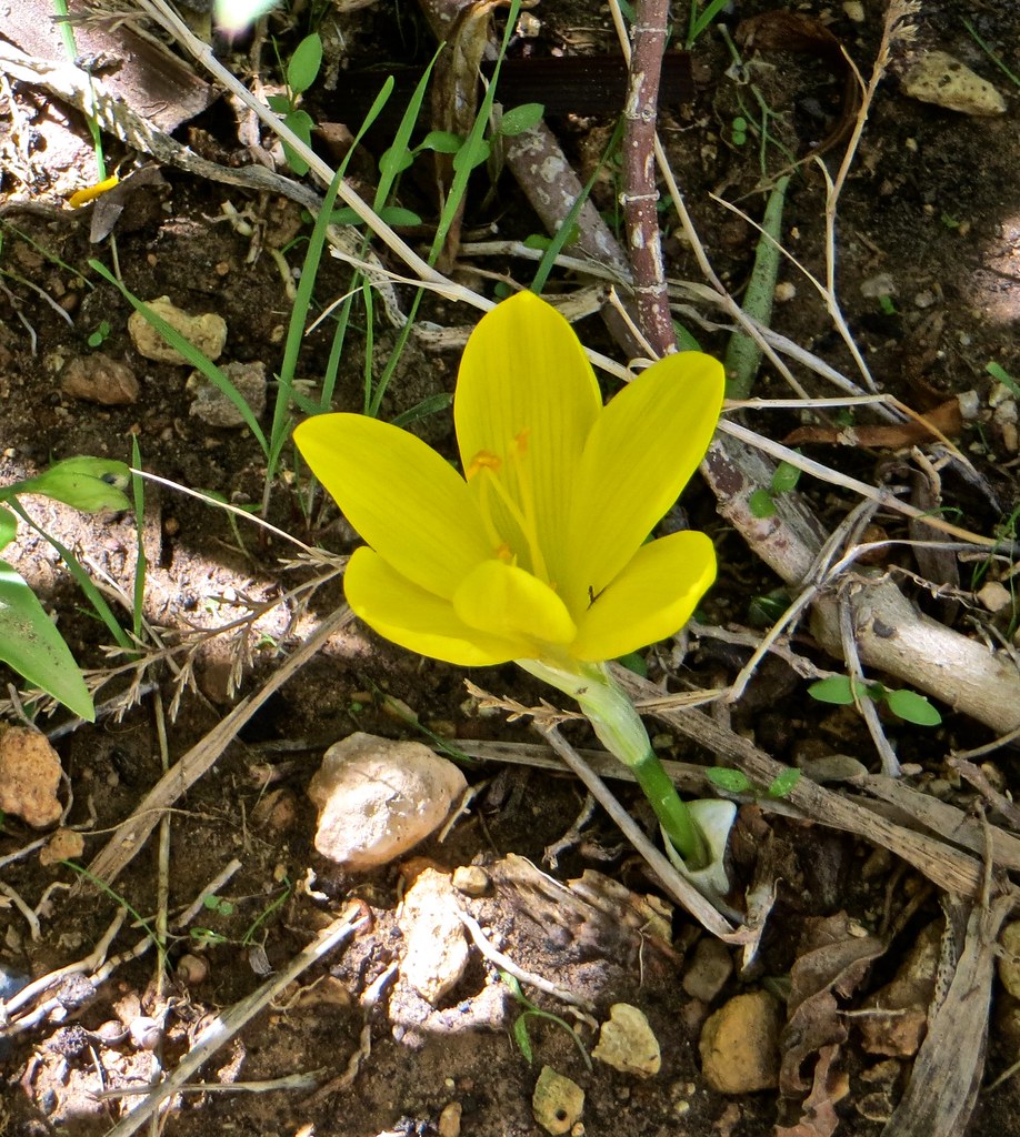36895740250_38cfe32269_b.jpg