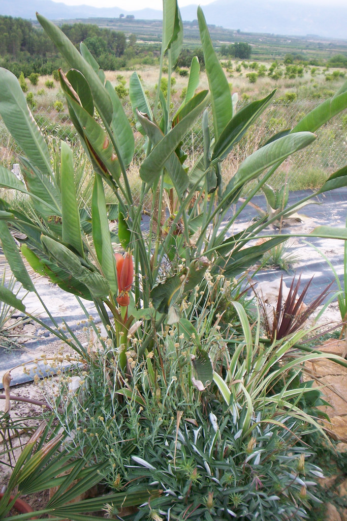 3694367664_0a8ac25ac3_b.jpg