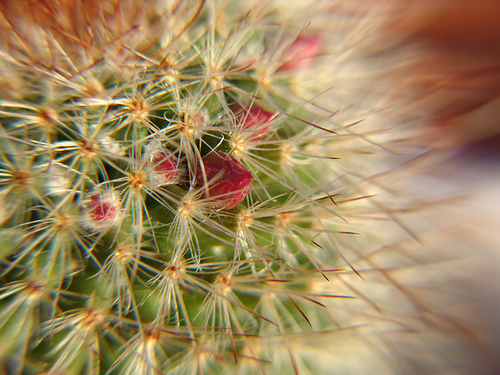 370250524_f6c06f5470.jpg